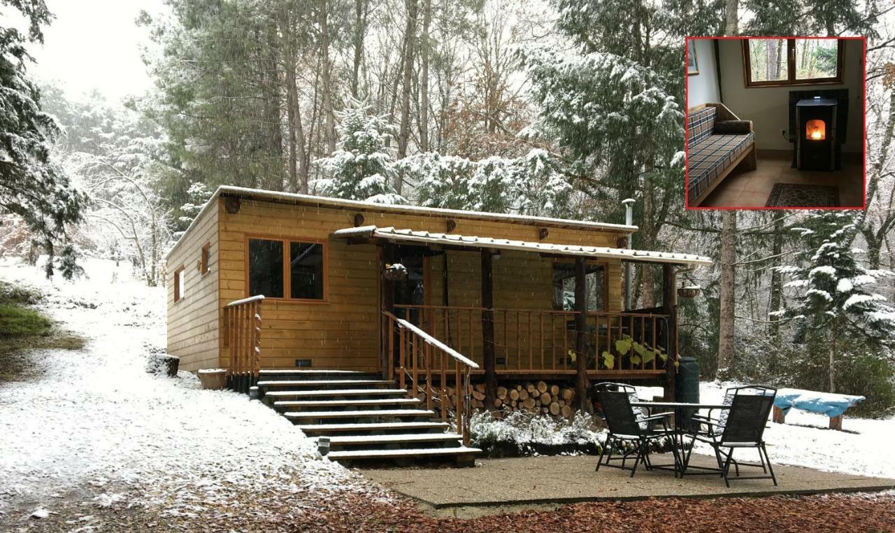 Chalet Le Terrier Blanc *